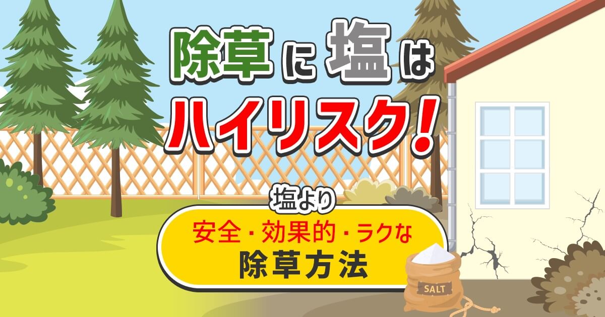 除草に塩を使うリスクとより効果的な方法