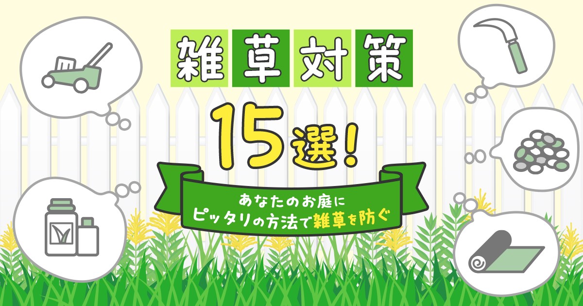 雑草対策15選と最適な方法の選び方