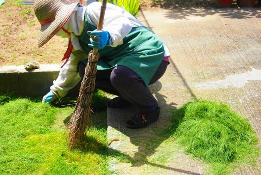 気をつけよう、草刈り中に起きる色んなトラブルと対策