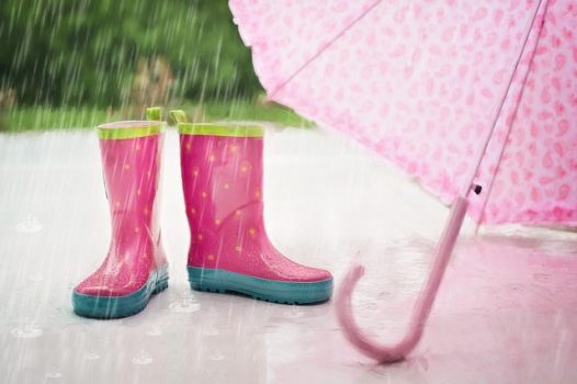 雨天時や雨上がりは芝刈りに適さない