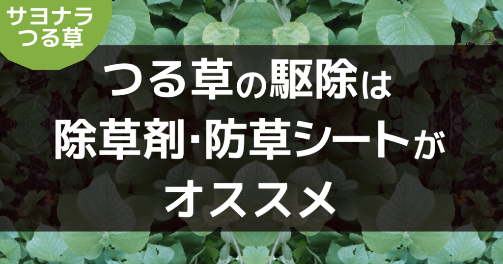 つる草の駆除は除草剤、防草シートがオススメ