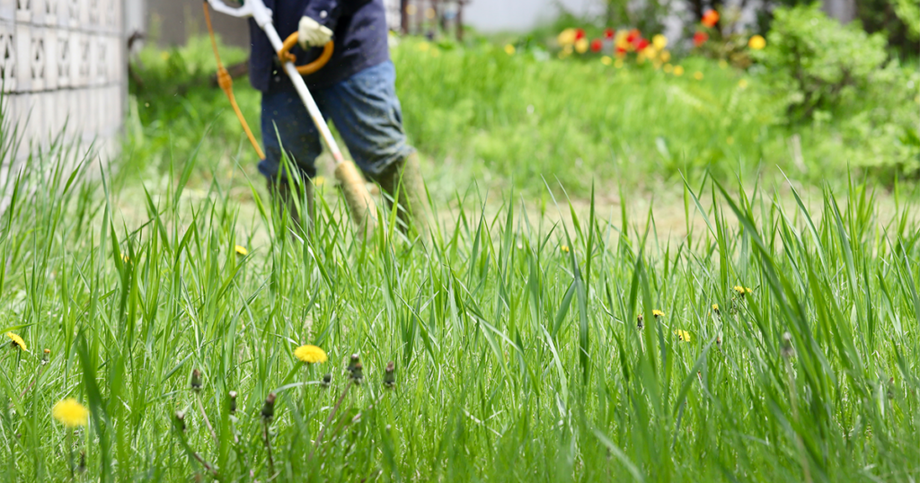庭の草刈りをより効率的に！正しい草取りの方法や雑草対策を解説