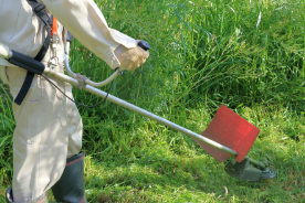 除草作業開始