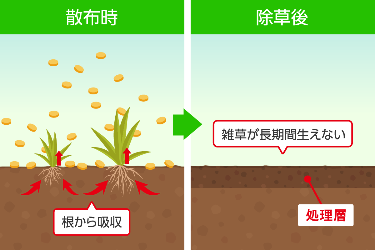 粒状 土壌処理型