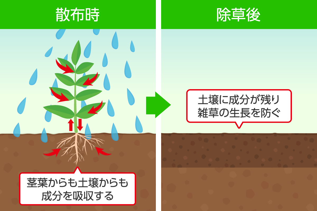 道具_除草剤_ハイブリッド型除草剤の説明