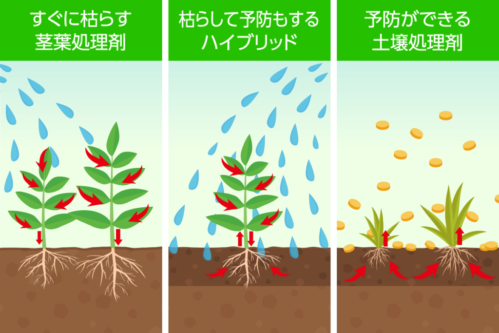 道具_除草剤_3種類の除草剤の説明