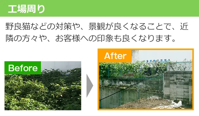 工場周り、野良猫などの対策や、景観が良くなることで、近隣の方々や、お客様への印象も良くなります。