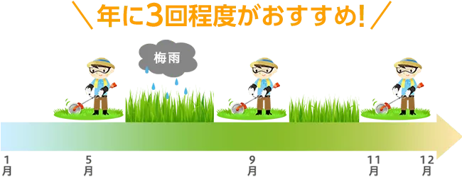 草刈りの頻度は年に3回程度がおすすめです