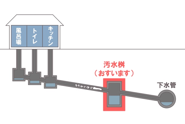 排水テスト