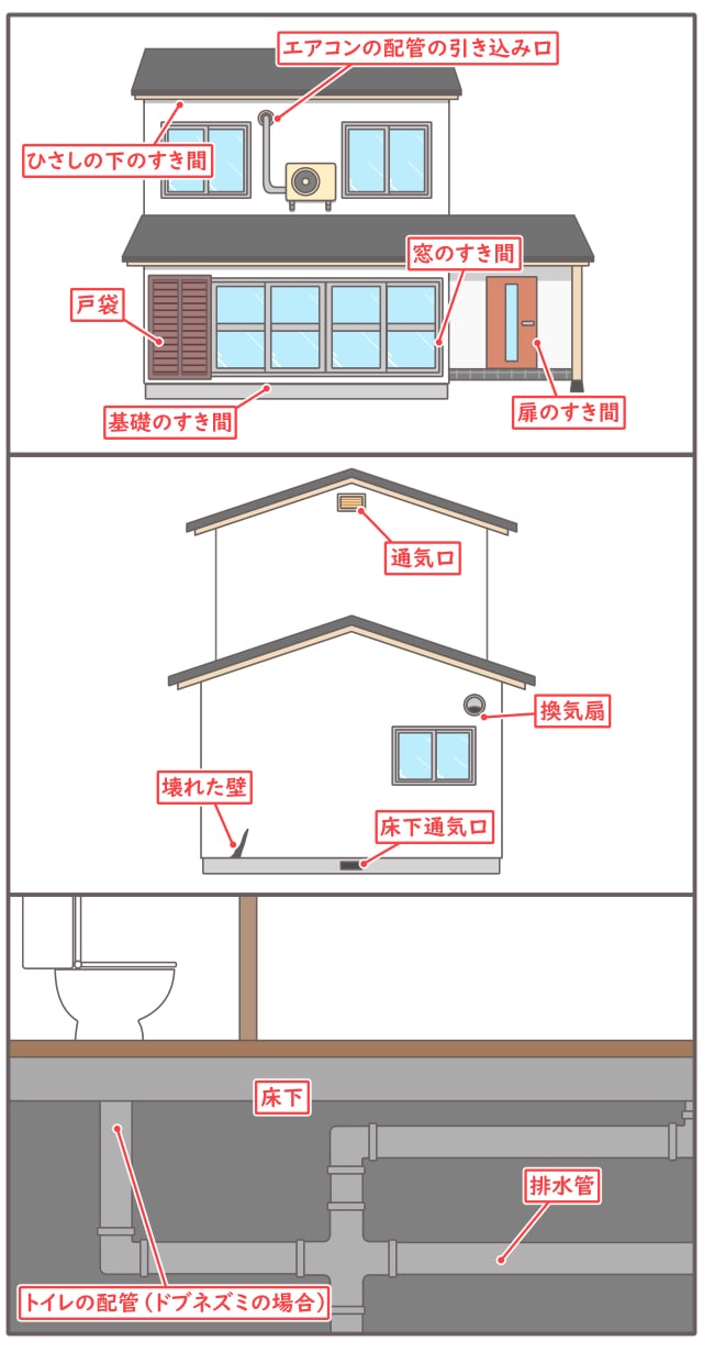 ねずみ 侵入しやすい場所 屋外