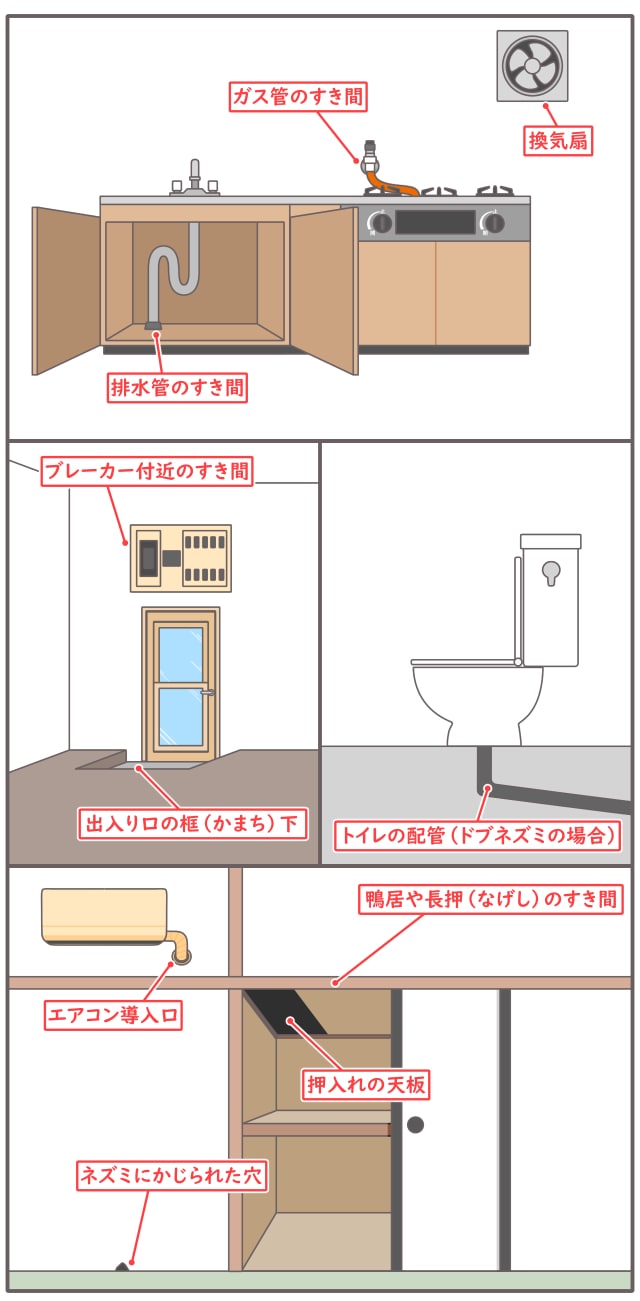 ねずみ 侵入しやすい場所