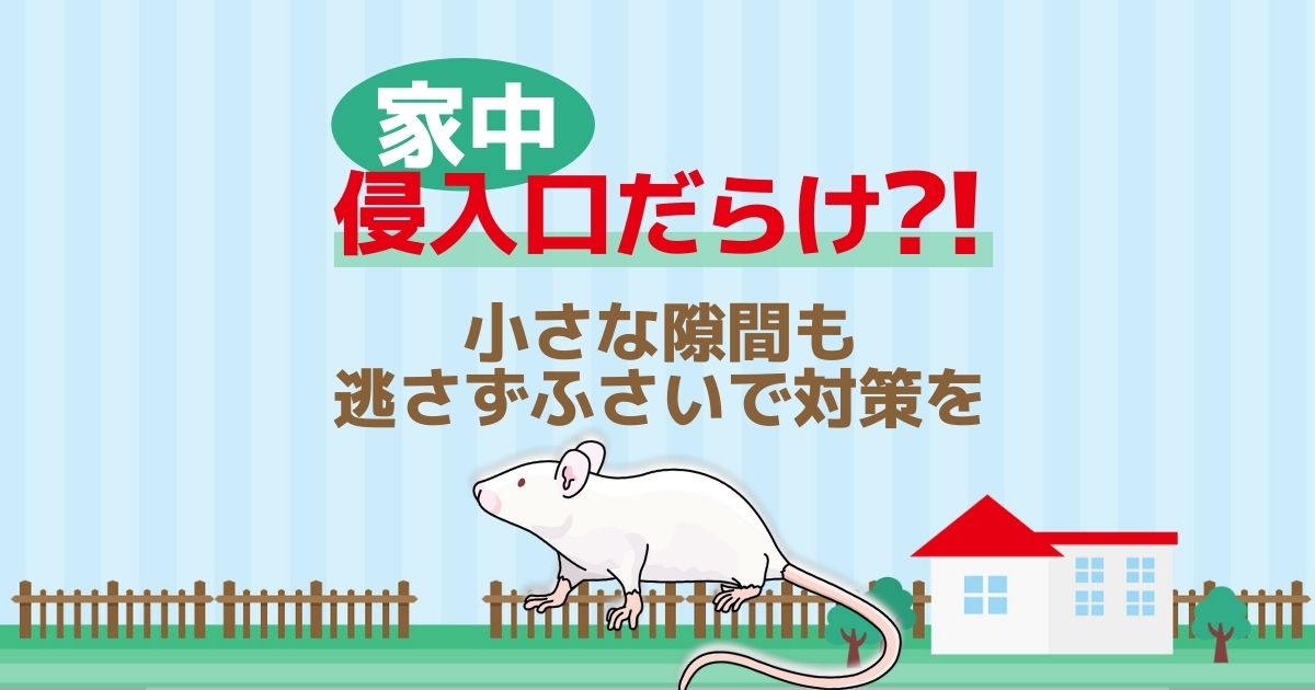 ねずみの侵入口はどこ 狙われやすい侵入経路を塞ぐ防鼠対策方法 ねずみ110番