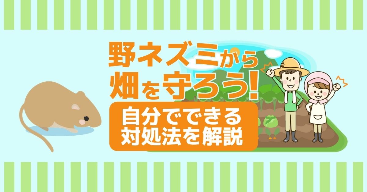 注意 野ネズミの駆除には許可が必要 畑と田んぼを守る効果的な対策 ねずみ110番