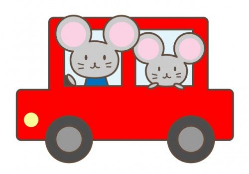 車内 車庫のネズミ対策 手軽に試せる3つの効果的な方法 ねずみ110番