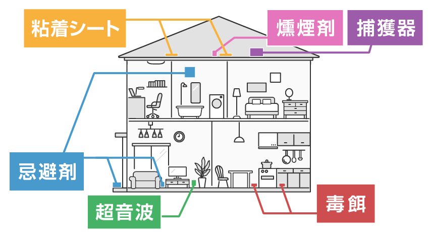 家の中の場所別で使用したいネズミ駆除グッズ