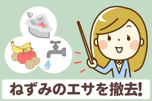 ねずみは蚊取り線香で簡単に追い出せる 嫌がるにおいの種類と退治のコツ ねずみ110番