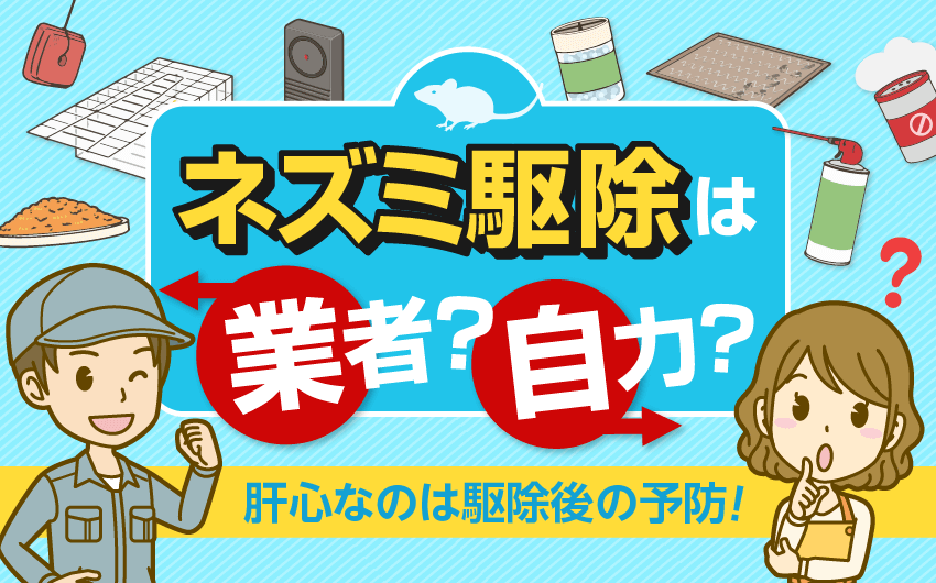 ネズミ駆除で肝心なのは駆除後の予防