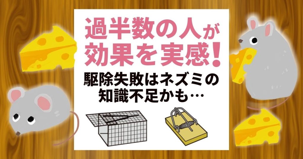 過半数の人が効果を実感！駆除失敗はネズミの知識不足かも・・・