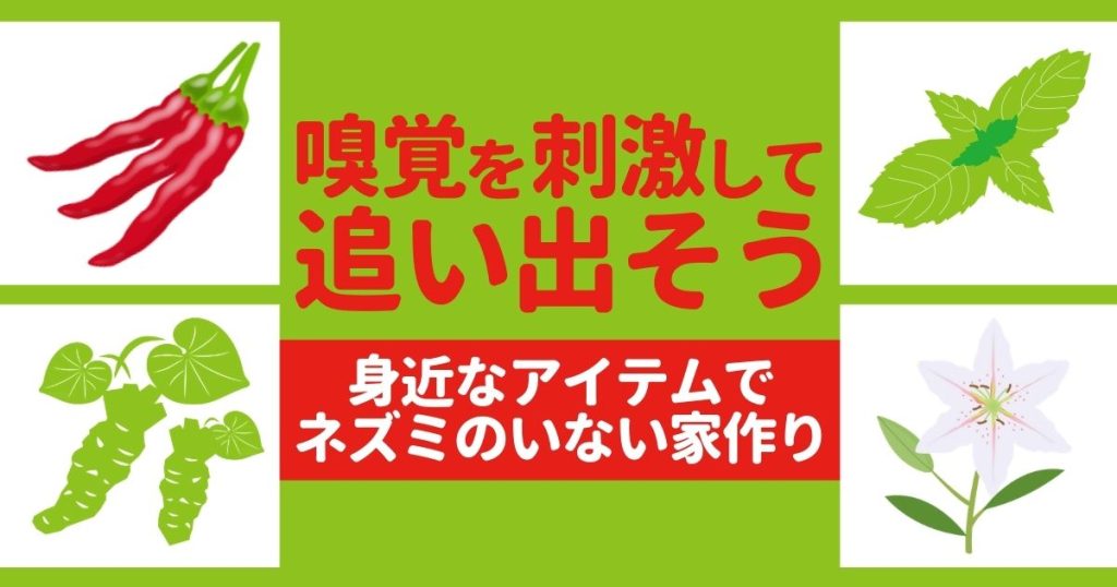嗅覚を刺激して追い出そう　身近なアイテムでネズミのいない家作り