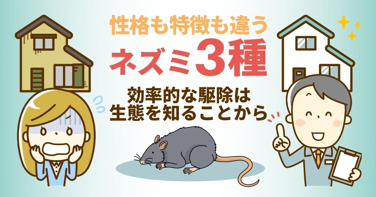 家に出るネズミの種類の見分け方と駆除効果をあげる種類ごとの最適な方法 | ねずみ110番