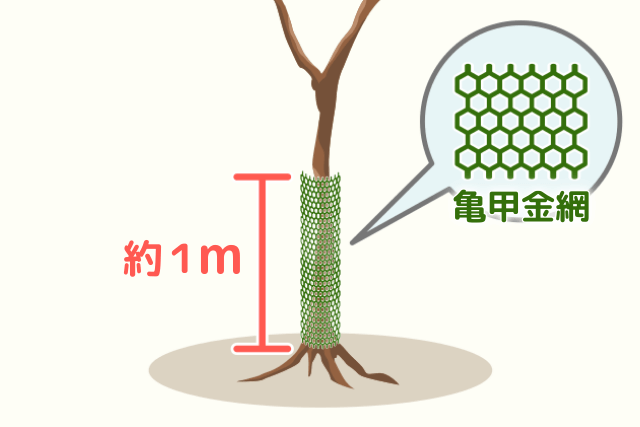 果樹　金網