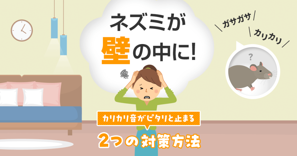 壁の中のネズミのカリカリ音が止まる２つの対策方法