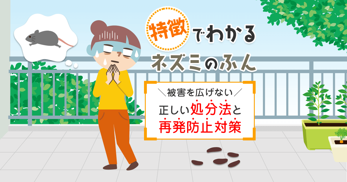 ネズミ駆除は粘着シートが有効？コツをおさえて確実に捕獲しよう 