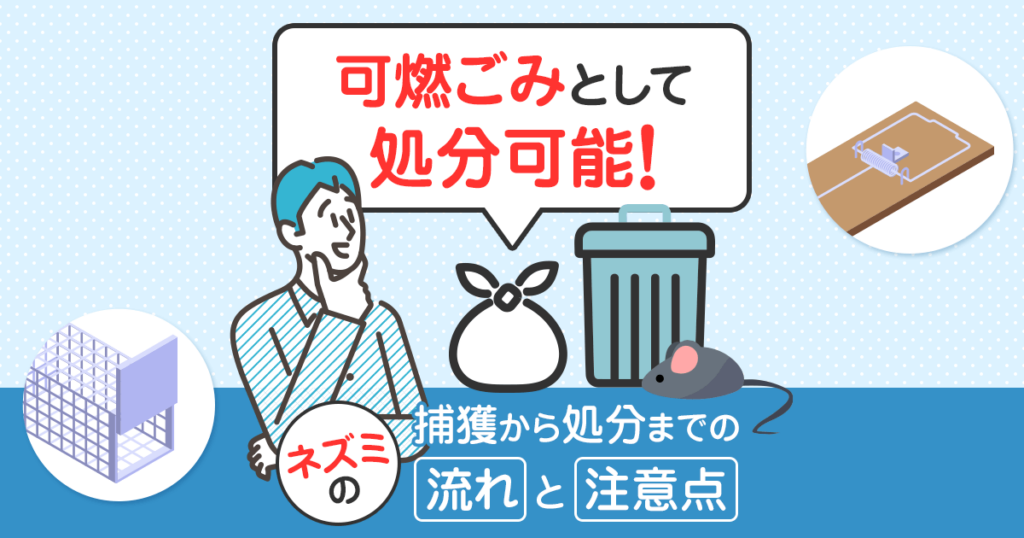 ネズミの捕獲から処分までの流れと注意点