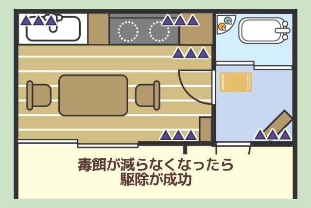 駆除が成功