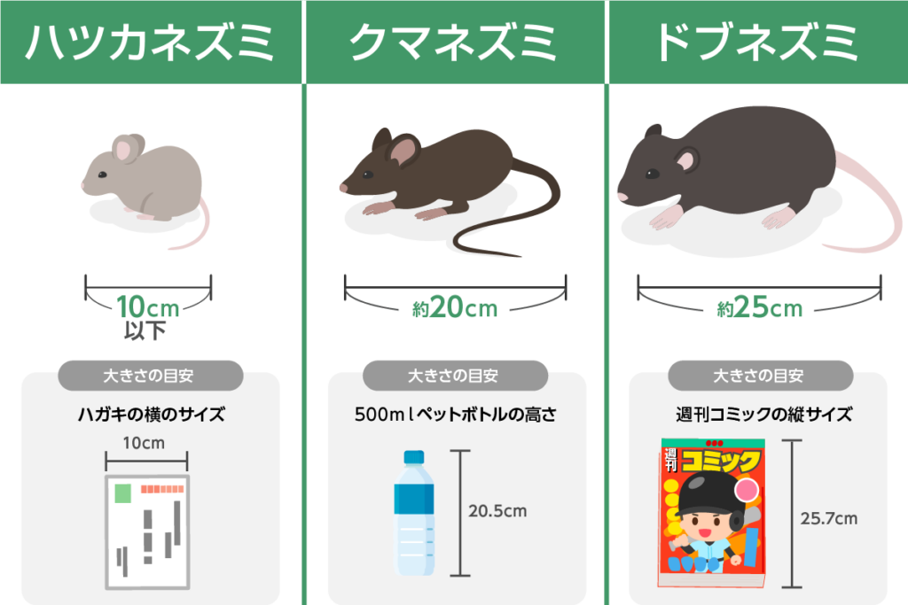 野生のハツカネズミはかわいい害獣!生態・見分け方・駆除まで徹底解説 | ねずみ110番