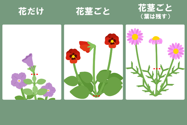 花がら摘み