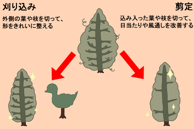 刈り込みと剪定の違い