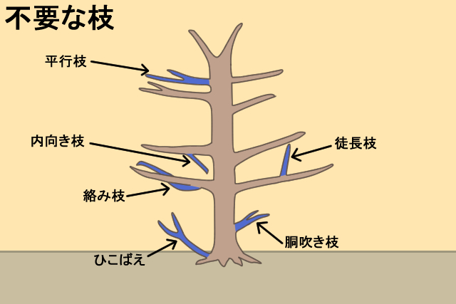 忌み枝