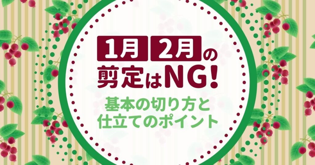 ジューンベリーの剪定と育て方｜6月に赤い実を付けるための方法