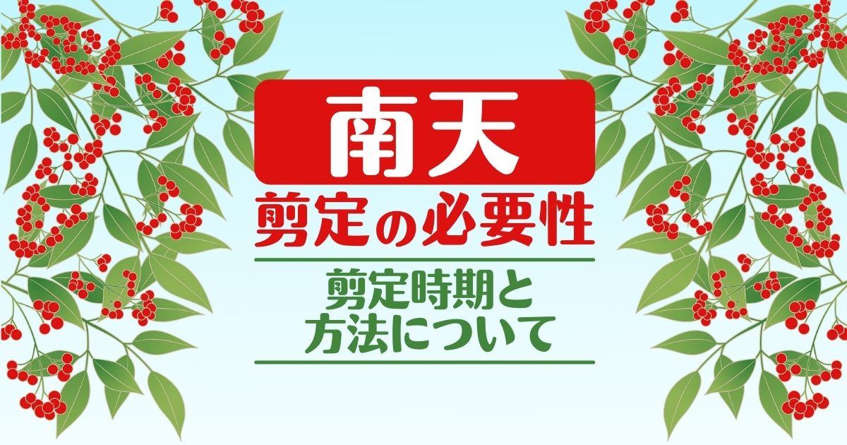 南天　剪定の必要性 剪定時期と方法について