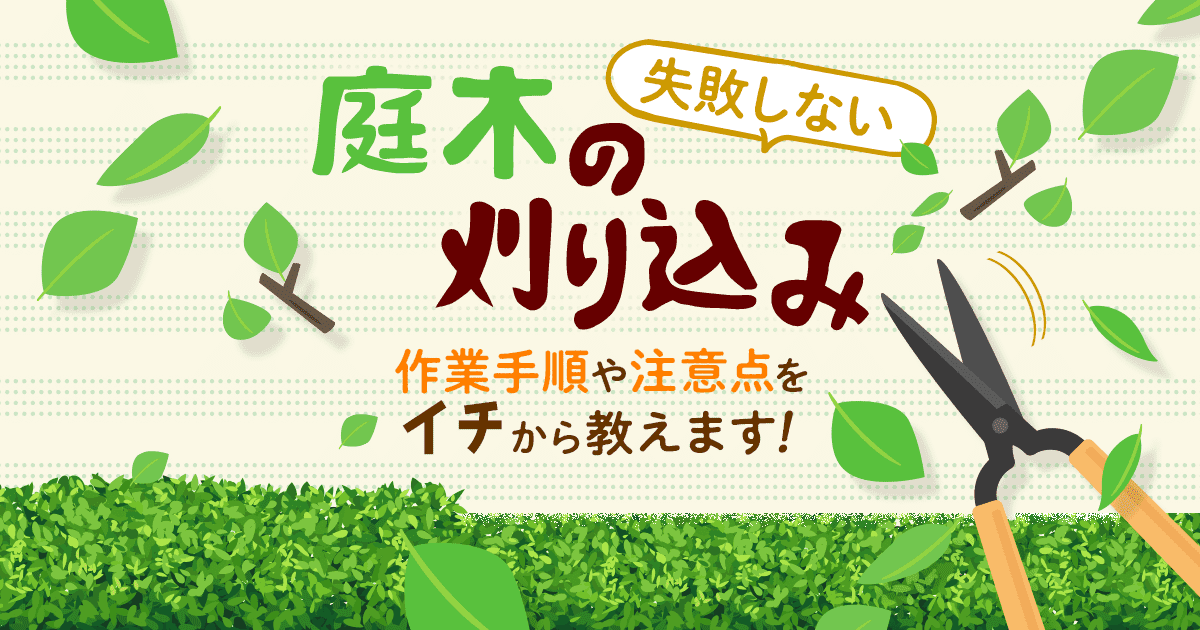 失敗しない庭木の刈り込み　作業手順　注意点