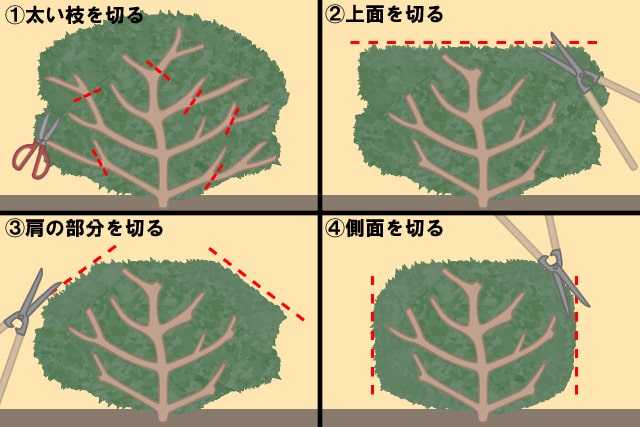 サツキ　剪定