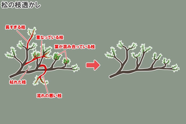 松の枝透かし