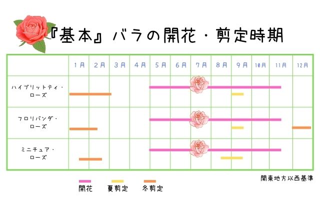 バラの開花・剪定時期