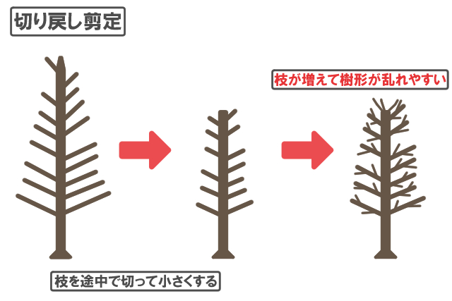 切り戻し剪定