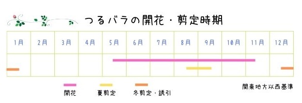 つるバラ　開花 剪定時期