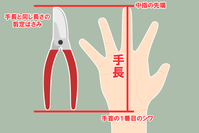 剪定バサミの選び方　手長の測り方