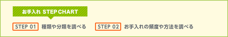 簡単！自分にもできる庭木のお手入れ