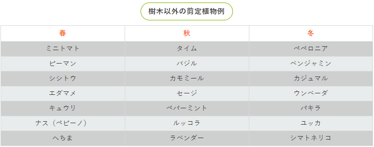 樹木以外の剪定植物例