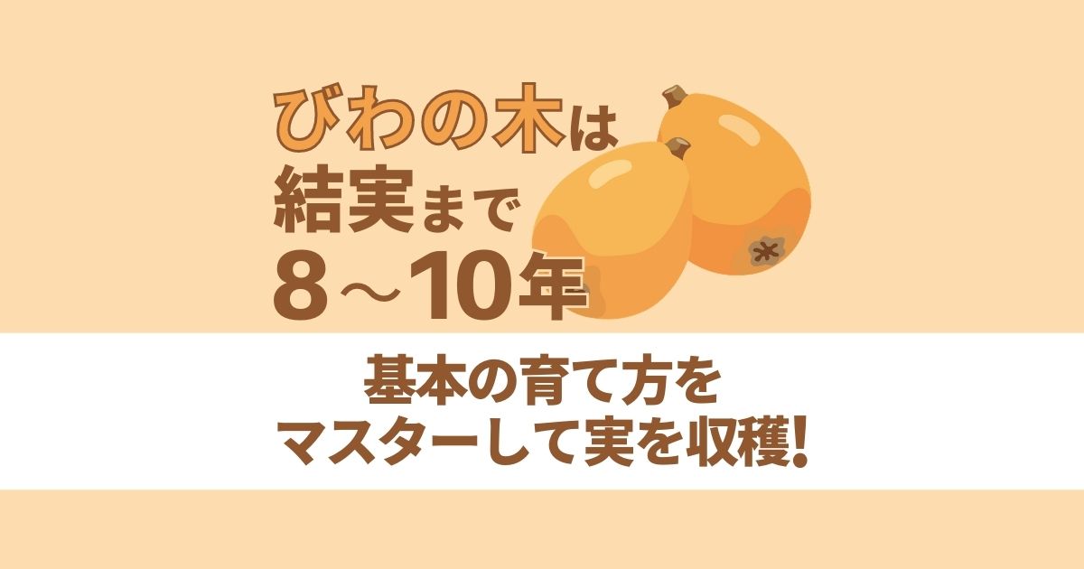 びわの木は結実まで8～10年