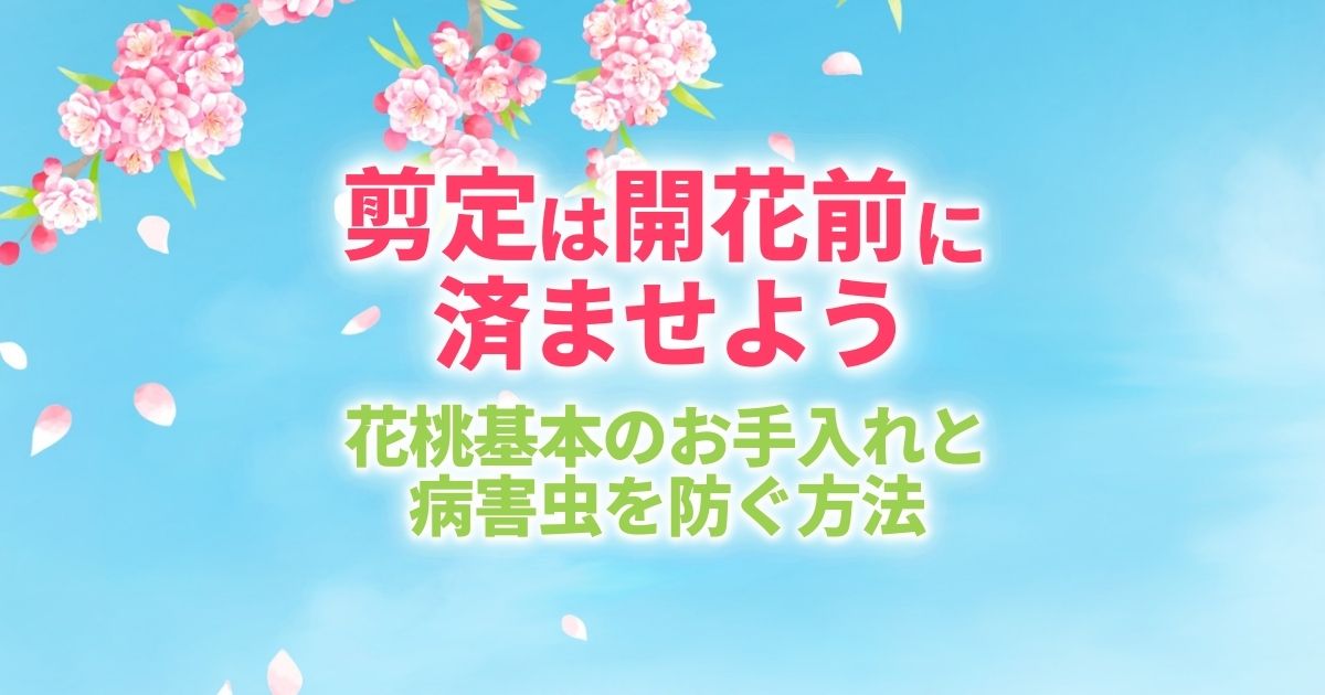 花桃の木の剪定時期と失敗しない方法｜花が咲かない原因を解決！