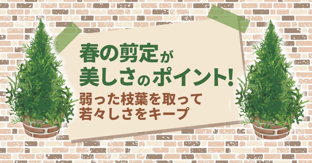 春の剪定が美しさのポイント！弱った枝葉を取って若々しさをキープ