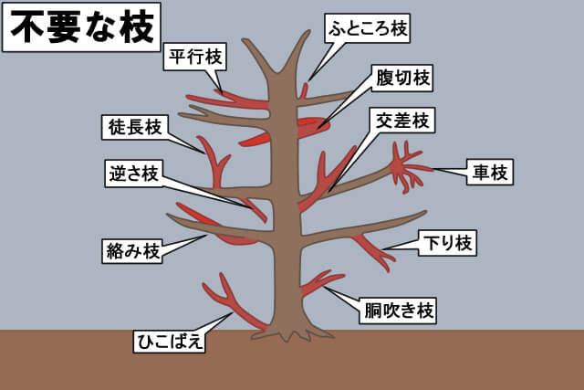 不要な枝