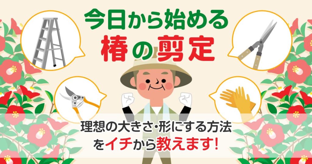 今日から始める椿の剪定