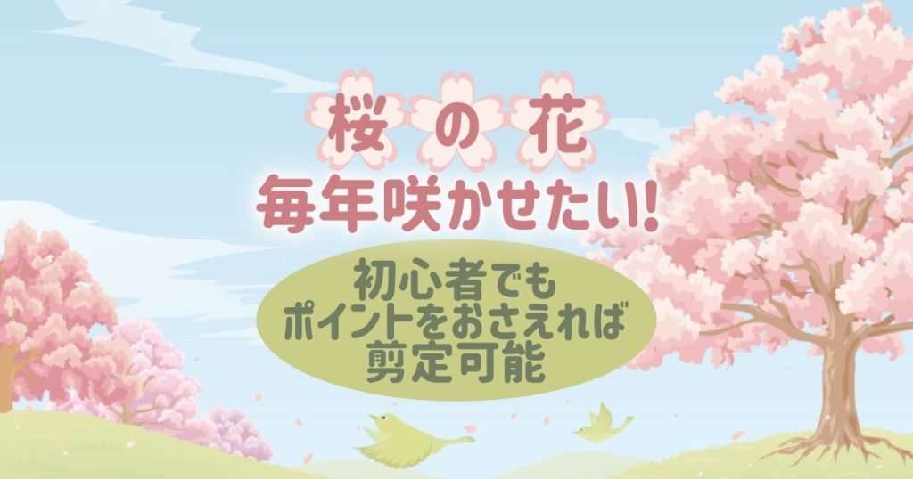 桜の花　毎年咲かせたい！初心者でもポイントをおさえれば剪定可能